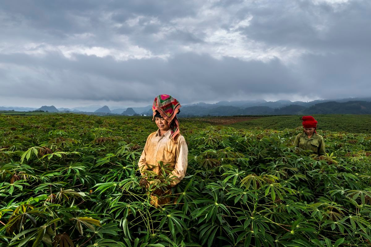 Women Farmers in Vietnam