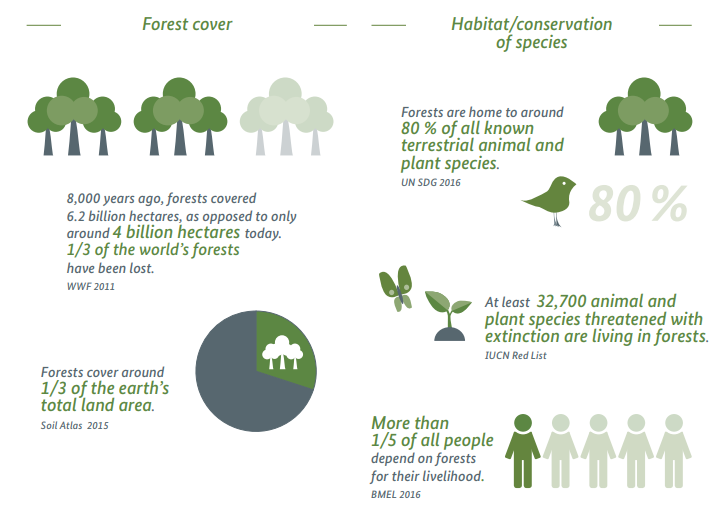 Some interesting facts about forests and habitats