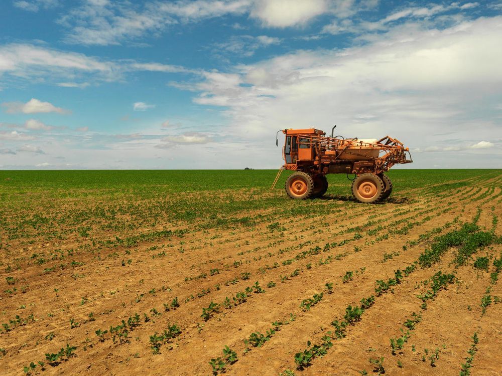 Soy cultivation instead of biodiversity in Brazil, second largest meat supplier for Germany ©Peter Caton/WWF-UK