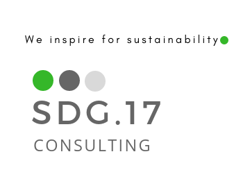 SDG.17 Consulting: Our Partner for SDG17