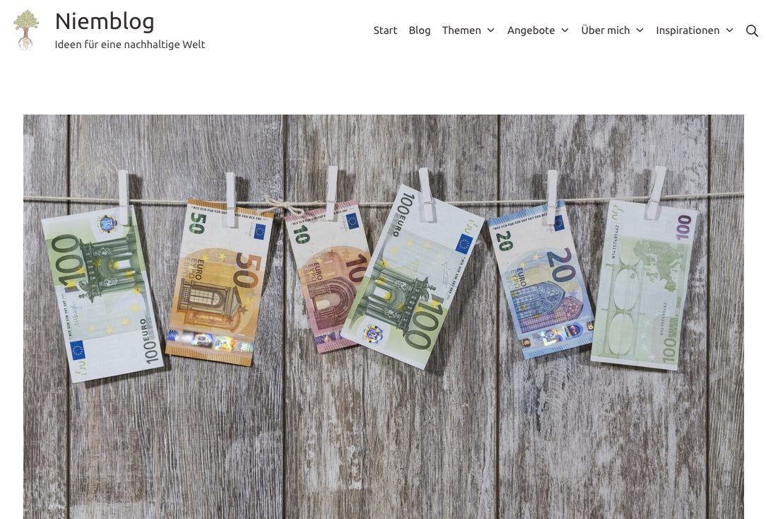 Screenshot des Blogs Niemblog, zeigt Euro-Geldscheine, die an einer Wäscheleine hängen