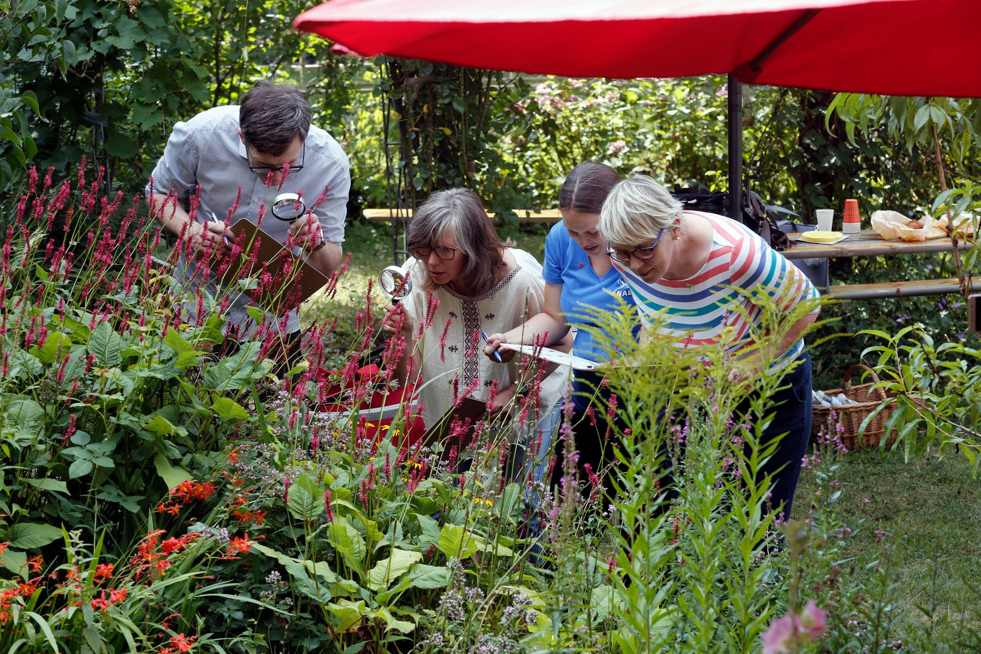 "On warm summer days, volunteers count the insects - it helps science. Picture: © Ralph Caspers / Michael Sieber