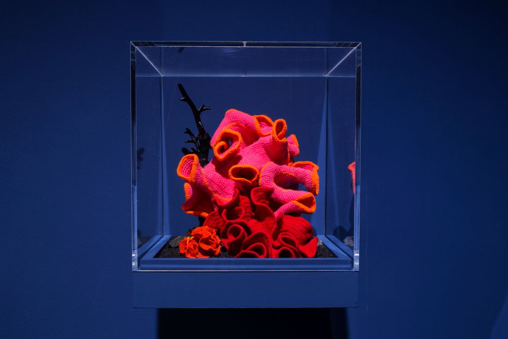dramatisch blau beleuteter Museums-Schaukasten zeigt eine gehäkelte knallrote Koralle