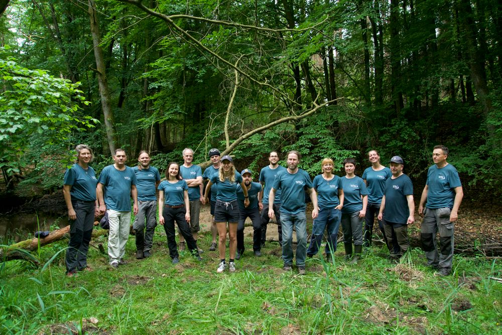 Troop of 15 women and men in the forest wearing the same turquoise T-shirt.