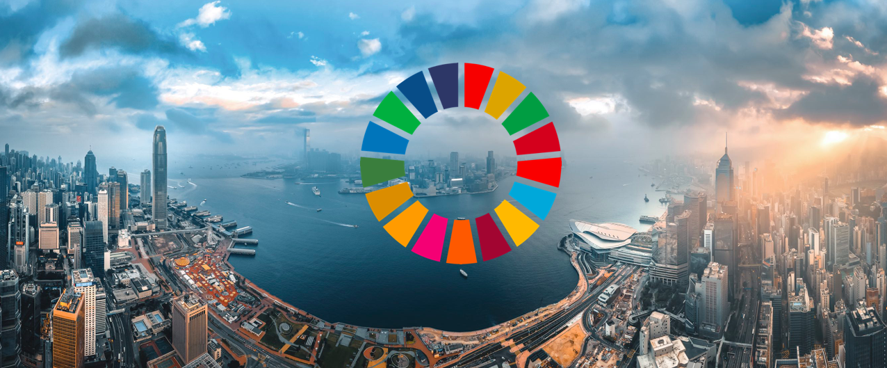 The relevance of the Sustainable Development Goals (SDGs) for companies