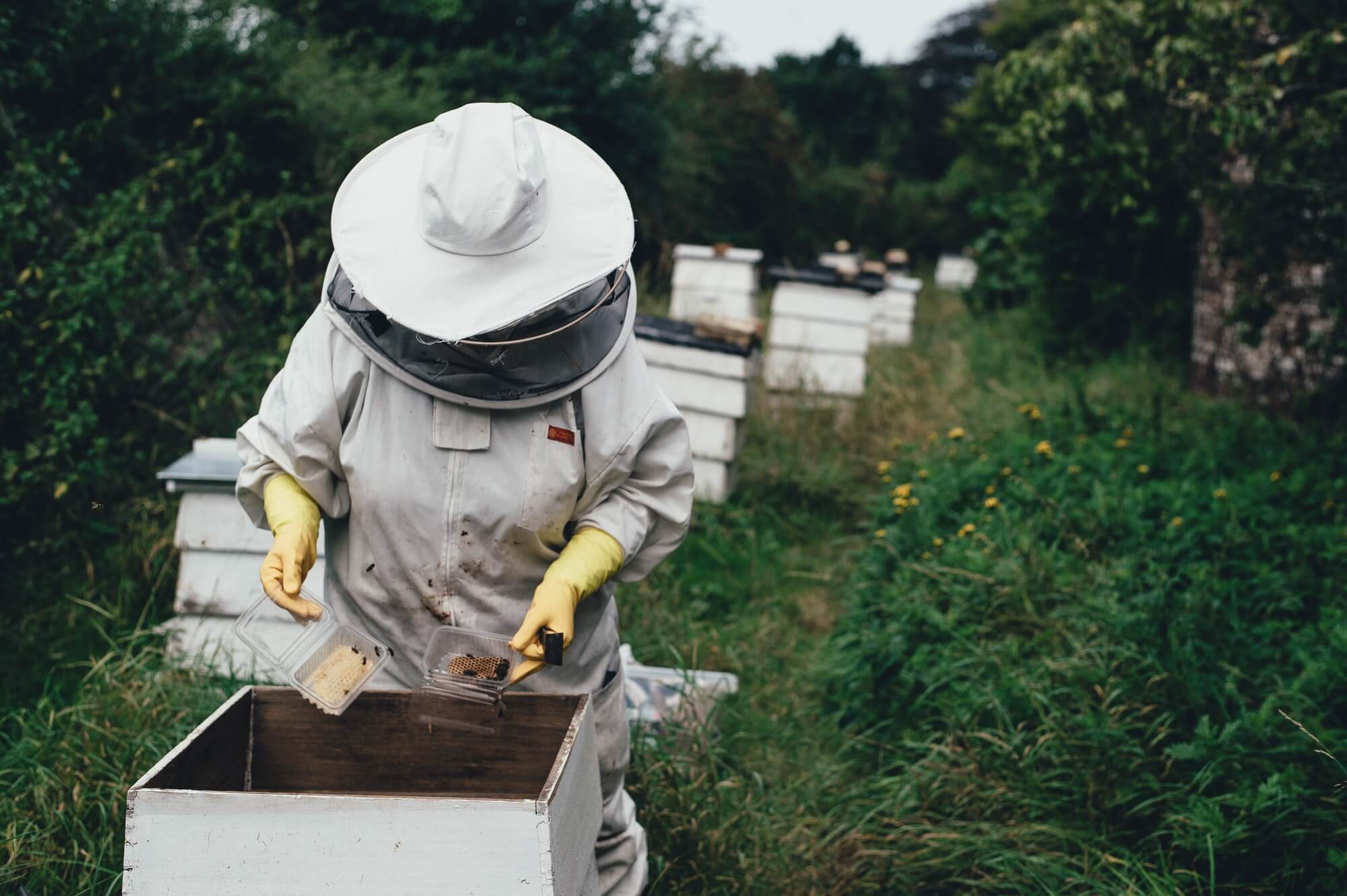 Wie wir auch in Städten mehr Biodiversität schaffen können