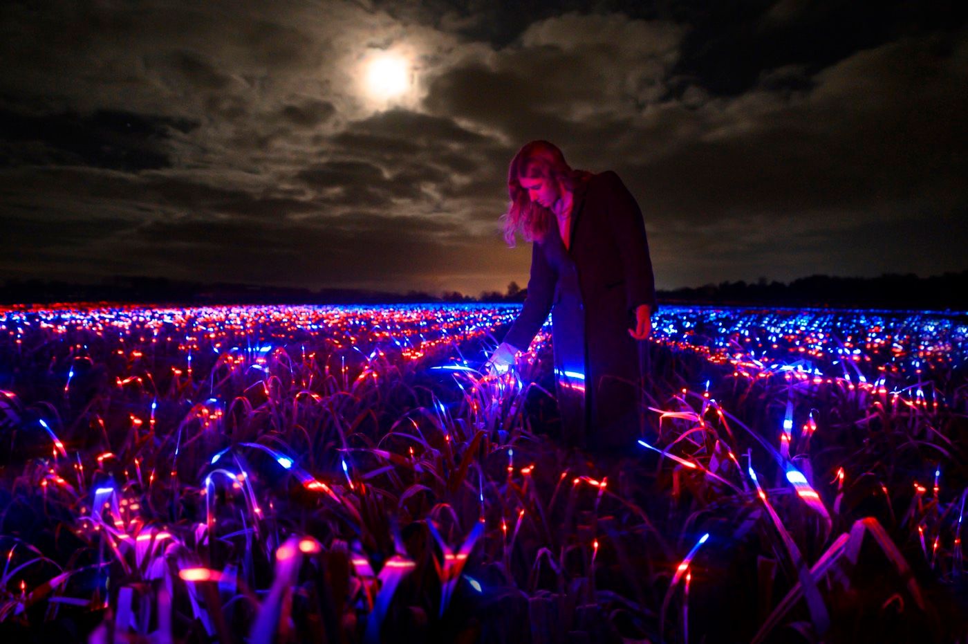 How Daan Roosegaarde's light art contributes to sustainable agriculture