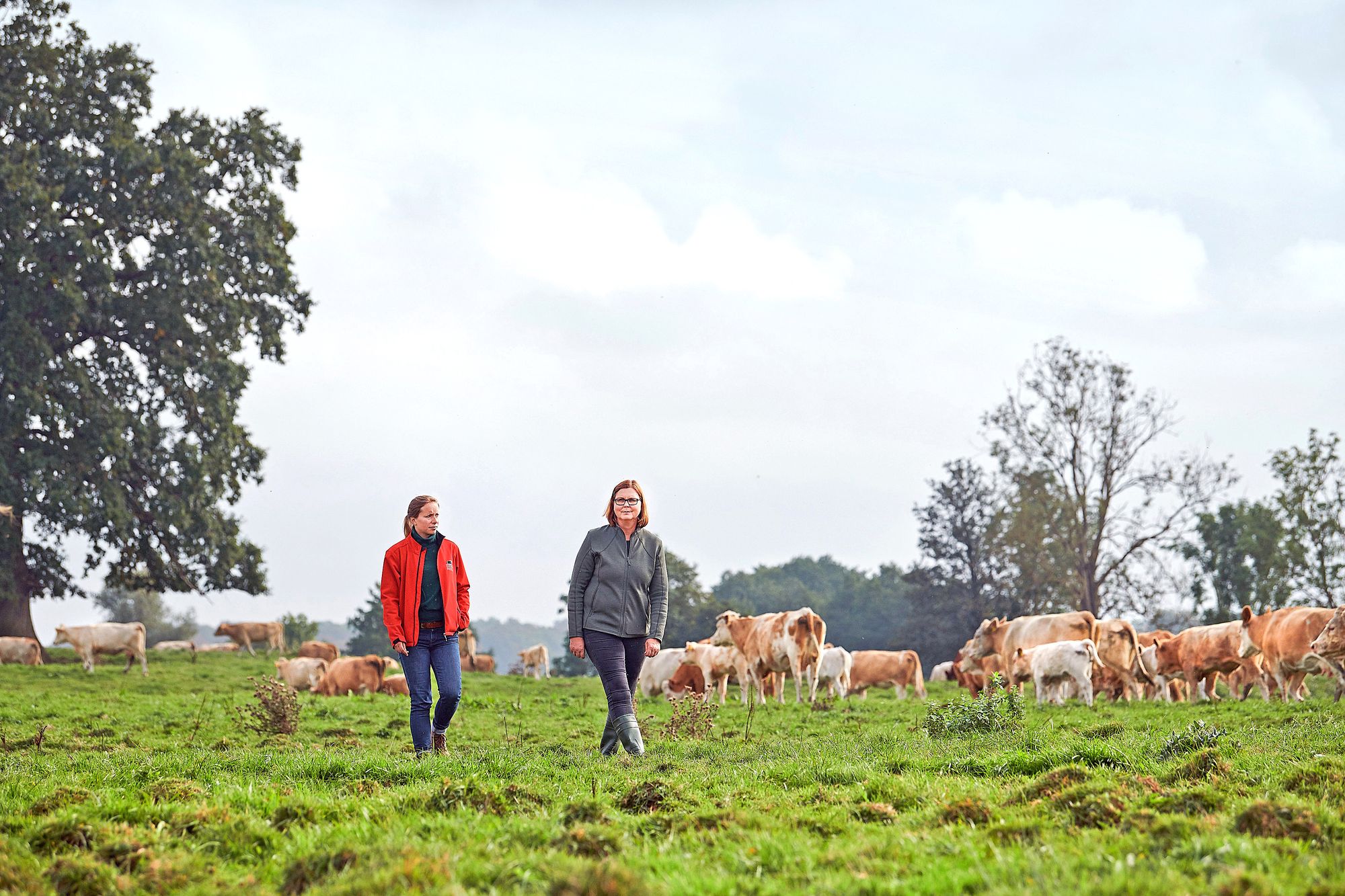 Nachhaltiger Wandel im Ernährungssystem