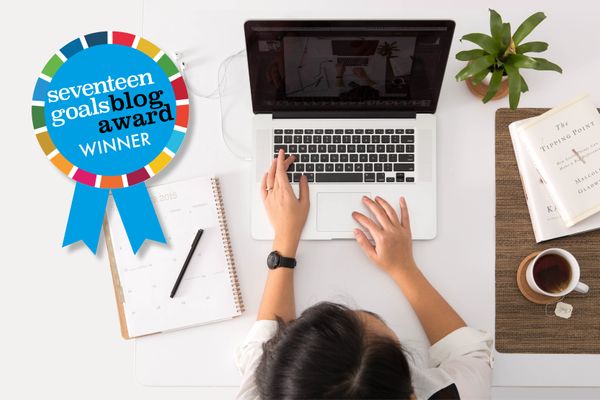 seventeen goals Blog Award