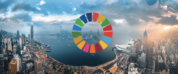 Die Relevanz der Nachhaltigkeitsziele (SDGs) für Unternehmen