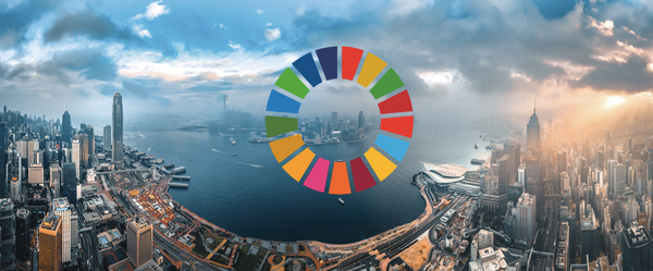 The relevance of the Sustainable Development Goals (SDGs) for companies