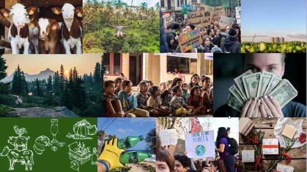 17 Ziele und viele Lösungen – Ein Überblick über smarte Wege zu nachhaltiger Entwicklung