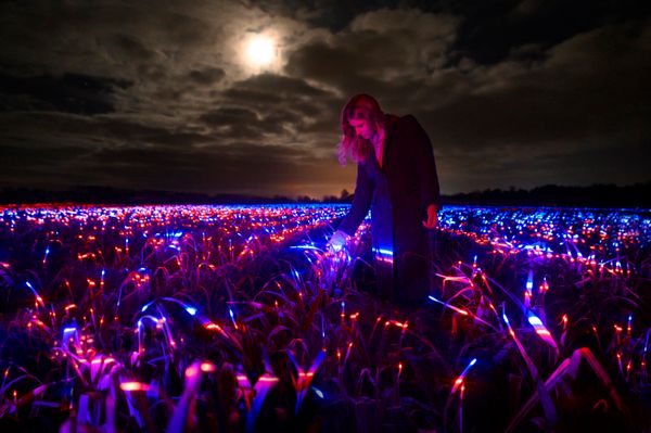 How Daan Roosegaarde's light art contributes to sustainable agriculture