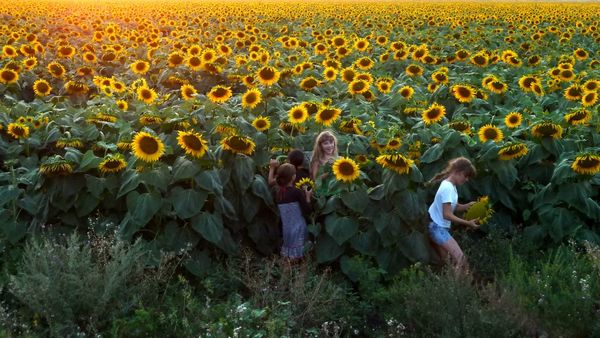 Ich fühle, also schütze ich! – Renovabis setzt sich für die Schöpfung und den Klimaschutz ein