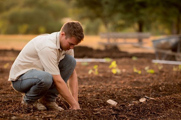 Im Boden liegt die Zukunft – Carbon Farming auf dem Vormarsch
